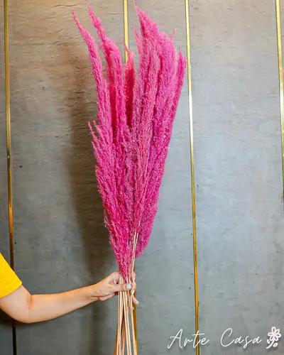 Pink Pampas-Xl