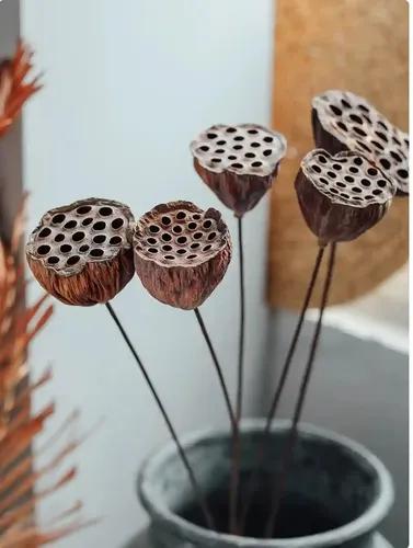 Small Lotus Pod Sticks  (Pack of 10 pcs)